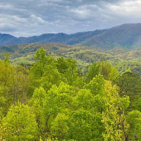 Вілла Amazing Views Гатлінбург Номер фото