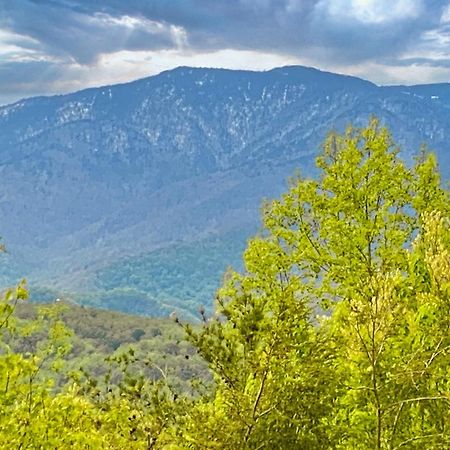 Вілла Amazing Views Гатлінбург Номер фото