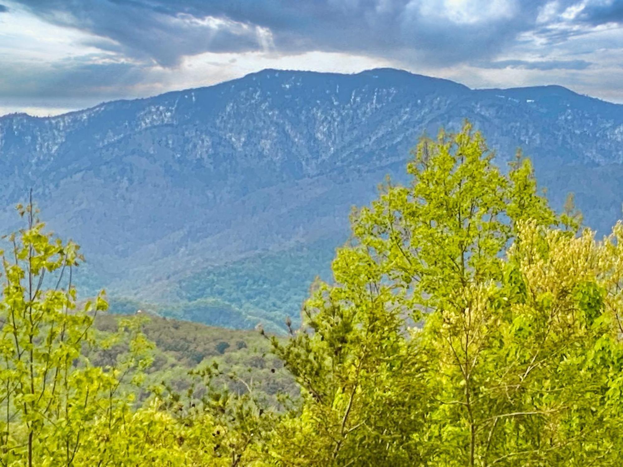 Вілла Amazing Views Гатлінбург Номер фото