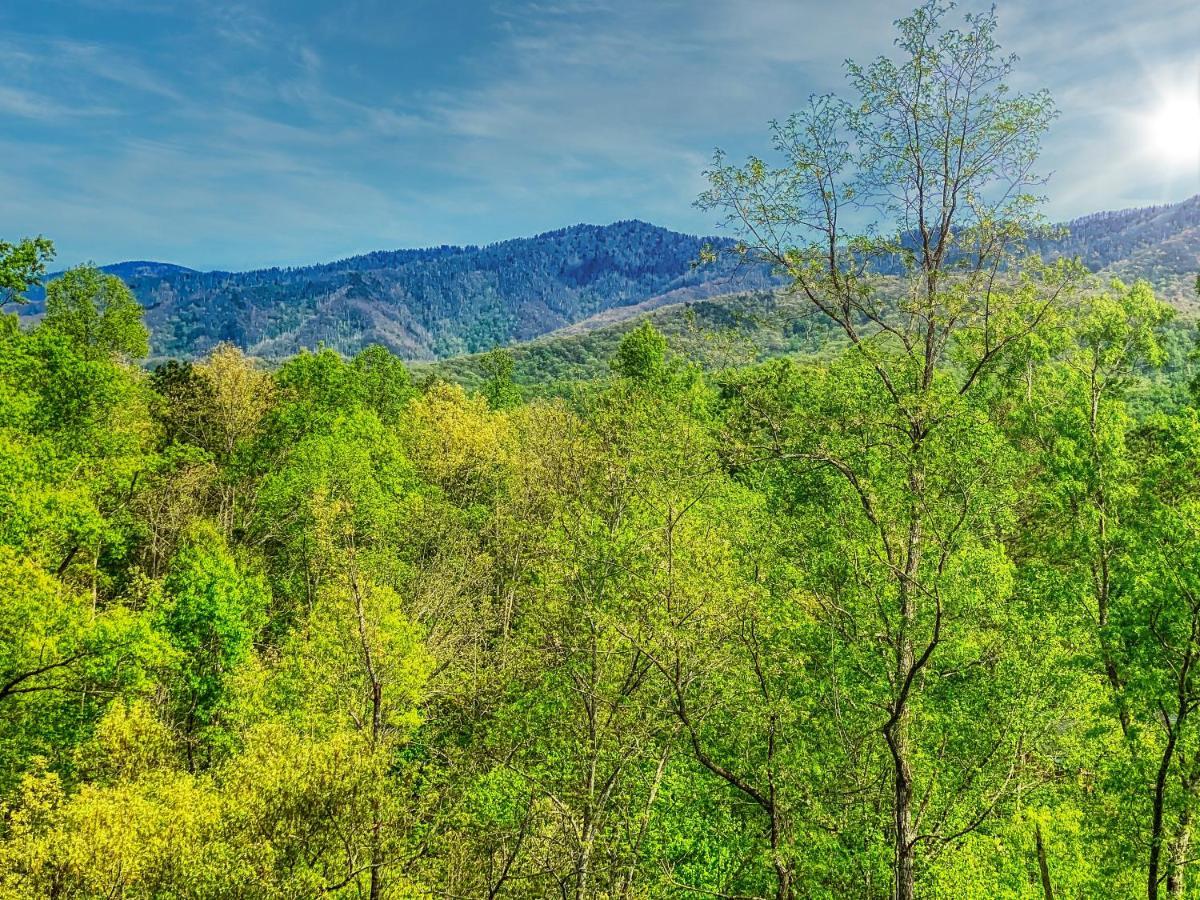 Вілла Amazing Views Гатлінбург Екстер'єр фото